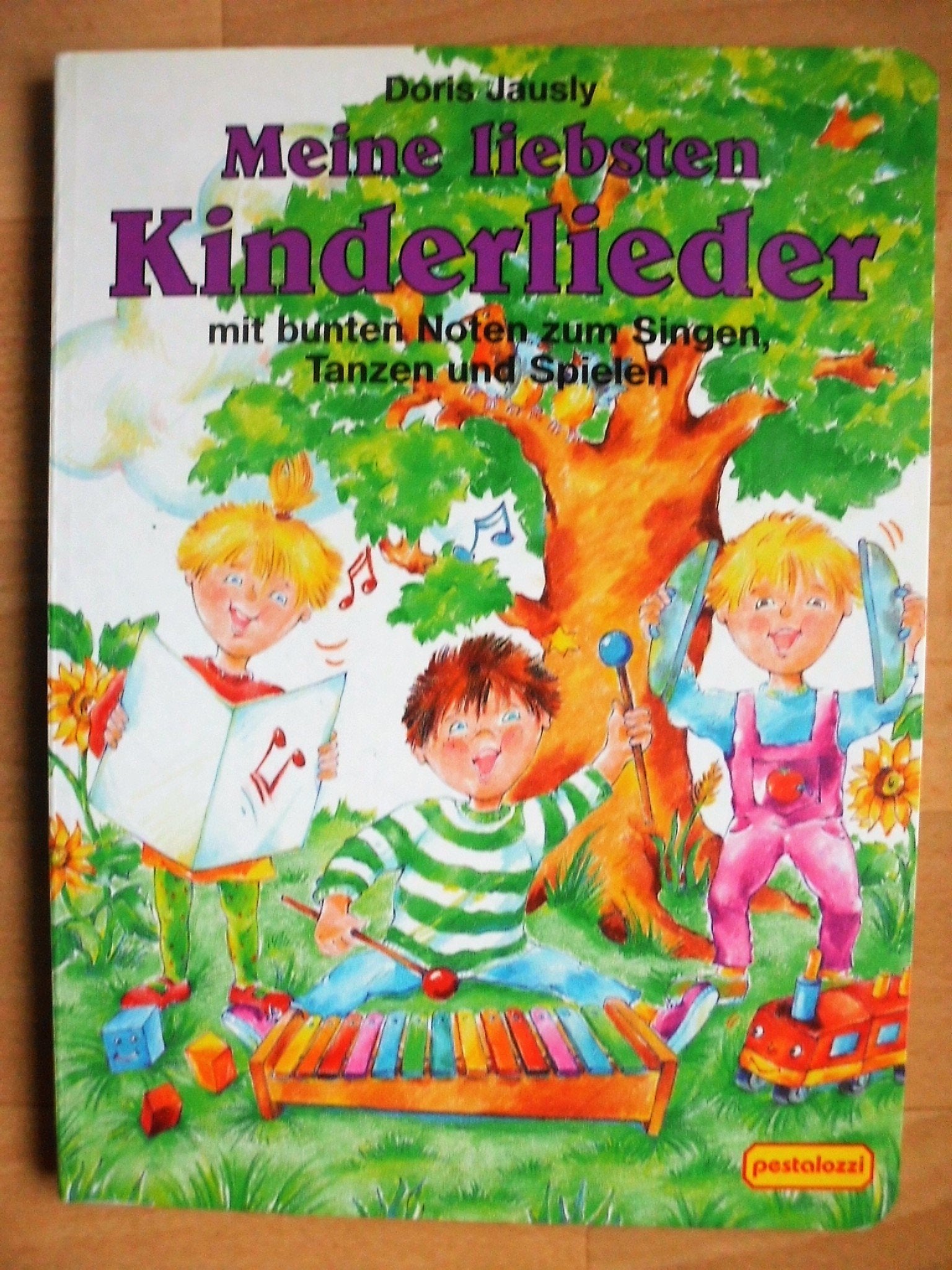 Meine liebsten Kinderlieder Books