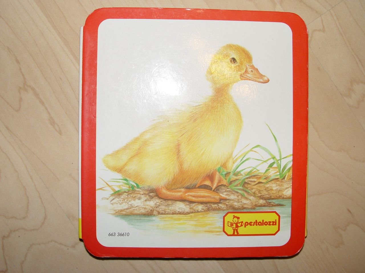 Leporello - Tierbilder für Kleinkinder - Pappseiten Books