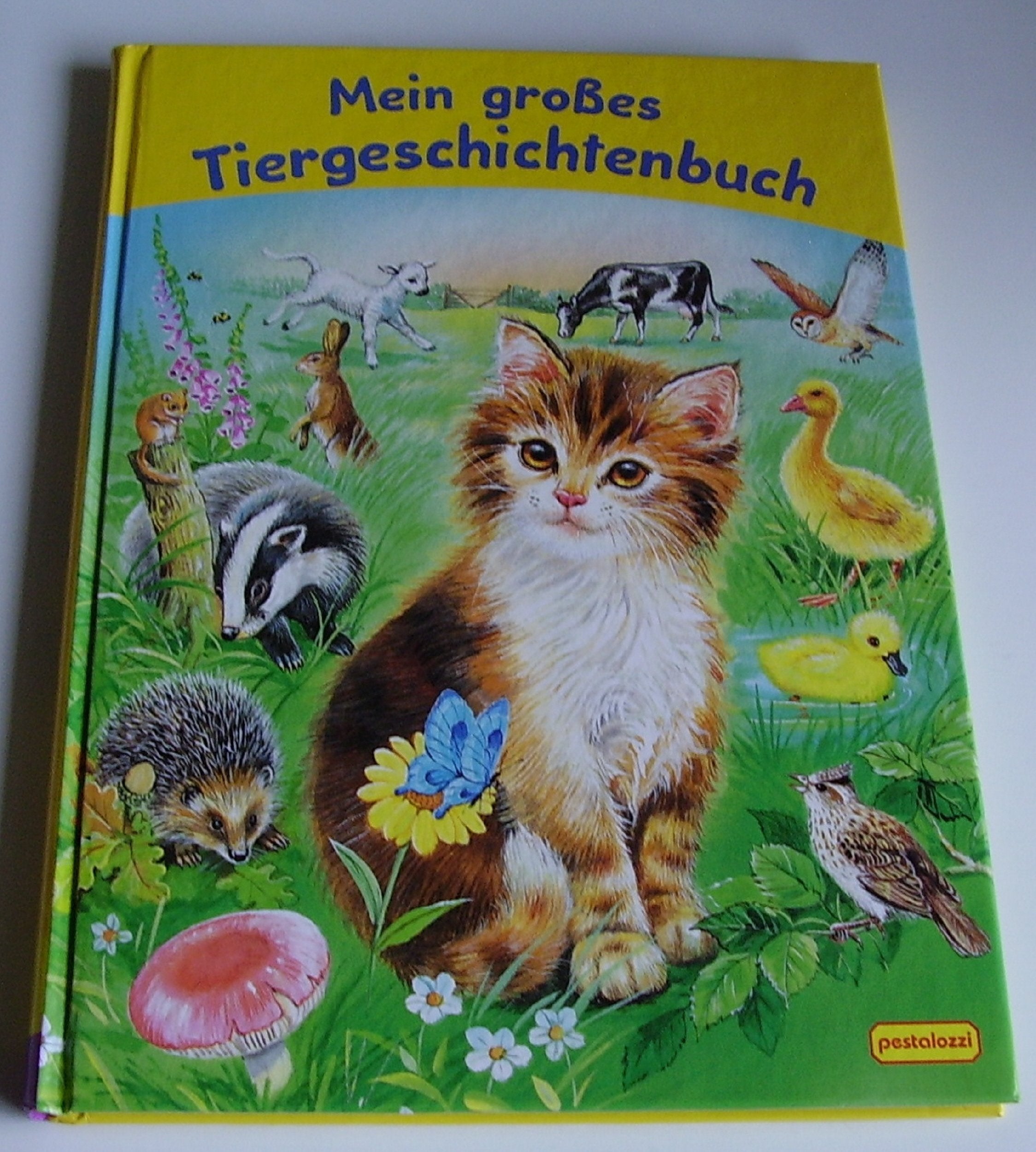Mein großes Tiergeschichtenbuch Books