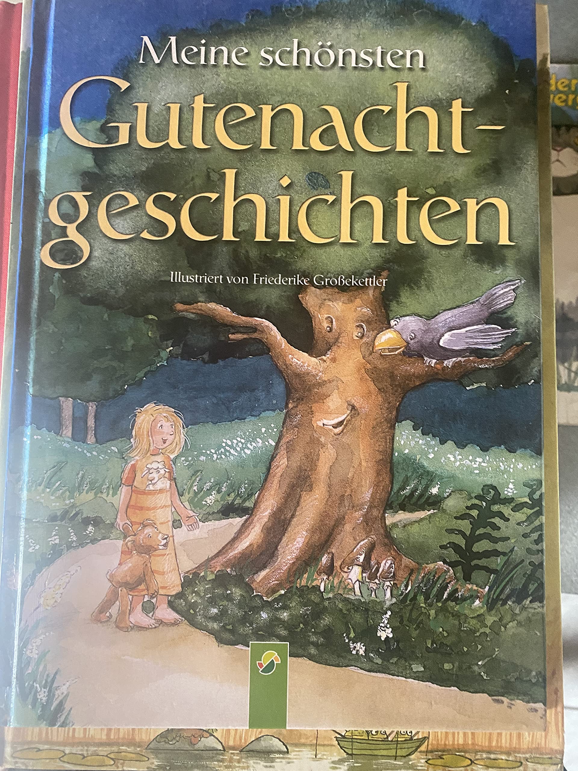 Meine schönsten Gutenachtgeschichten Children's books