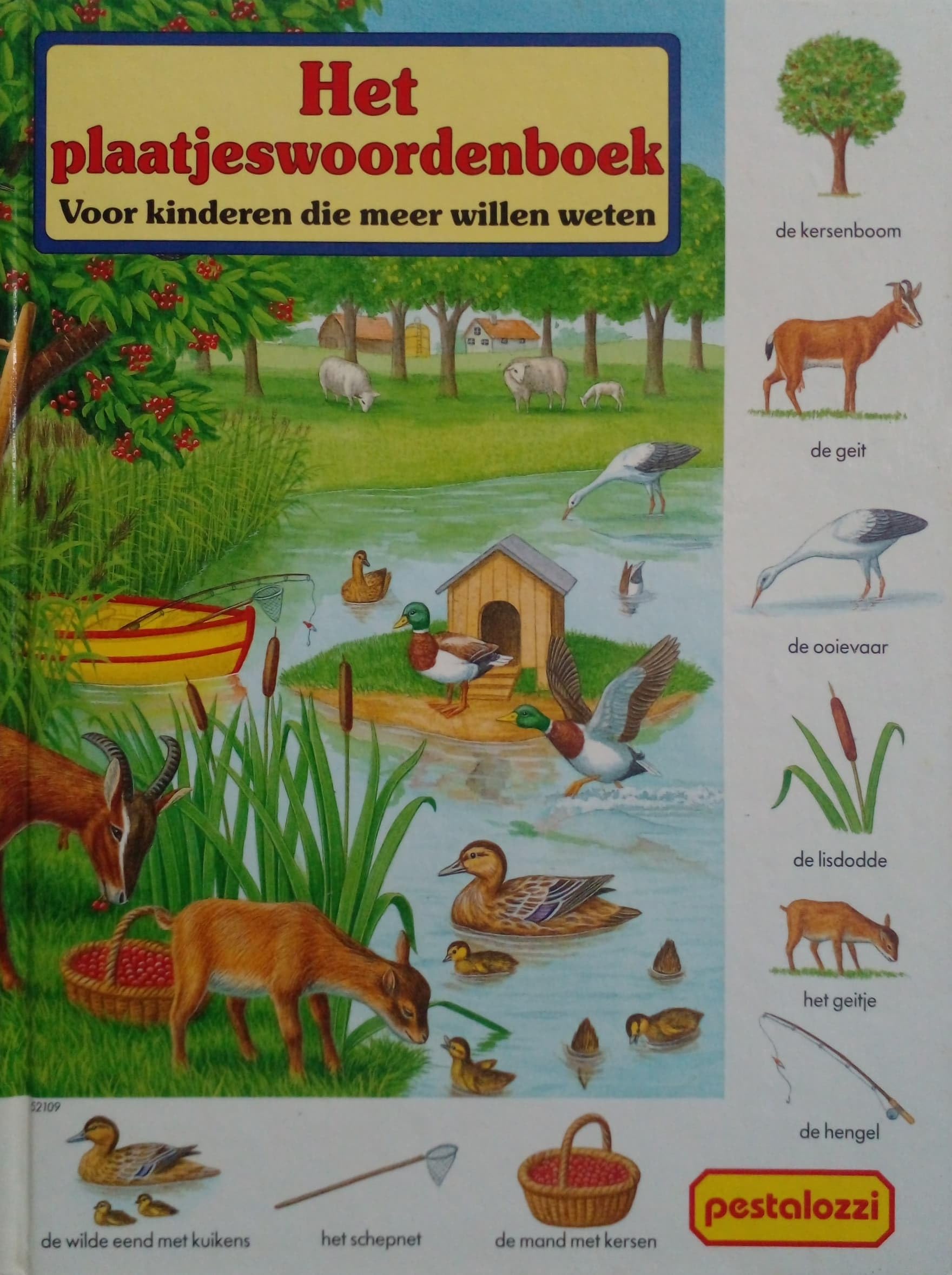 Het plaatjeswoordenboek: Voor kinderen die meer wi book