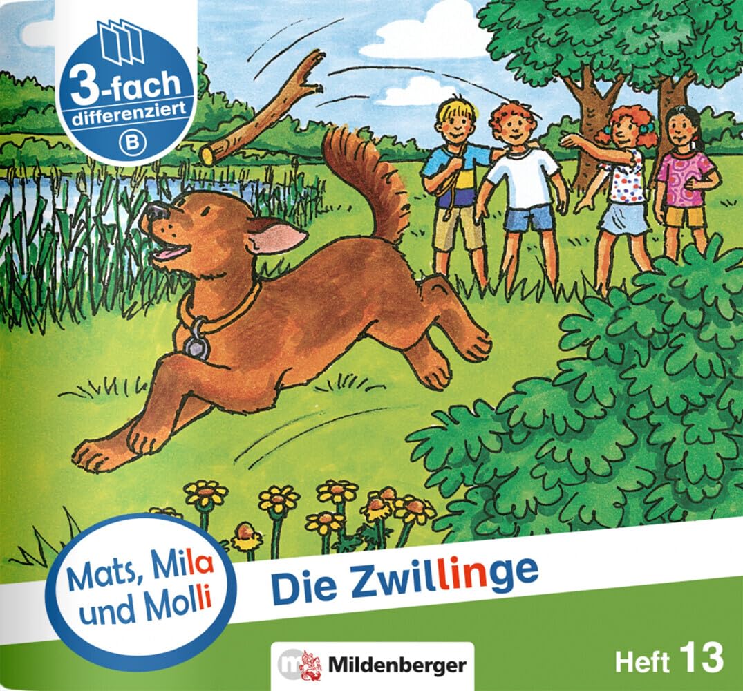 Mats, Mila und Molli – Heft 13: Die Zwillinge – B: Eine Geschichte in drei Schwierigkeitsstufen Professional & Reference Books