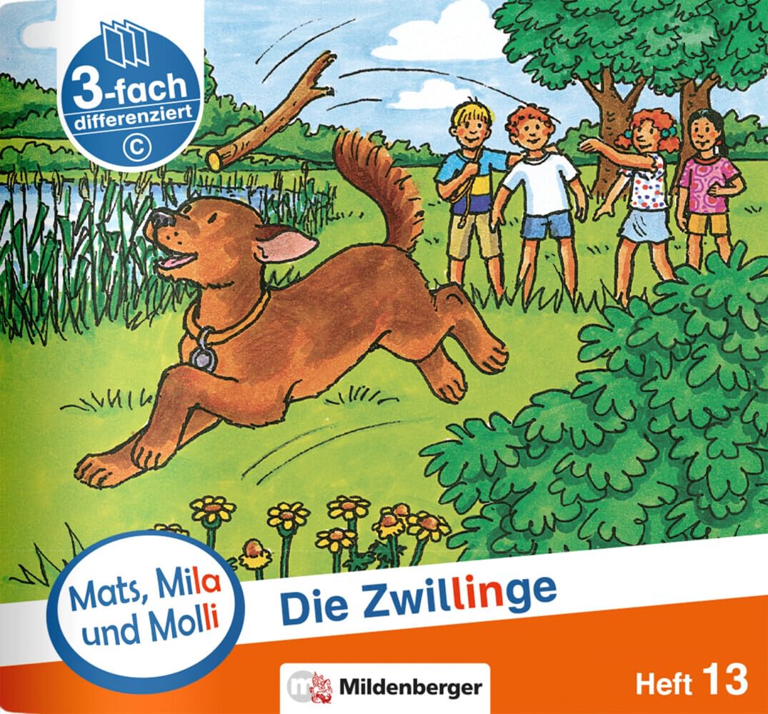 Mats, Mila und Molli – Heft 13: Die Zwillinge – C: Eine Geschichte in drei Schwierigkeitsstufen Professional & Reference Books