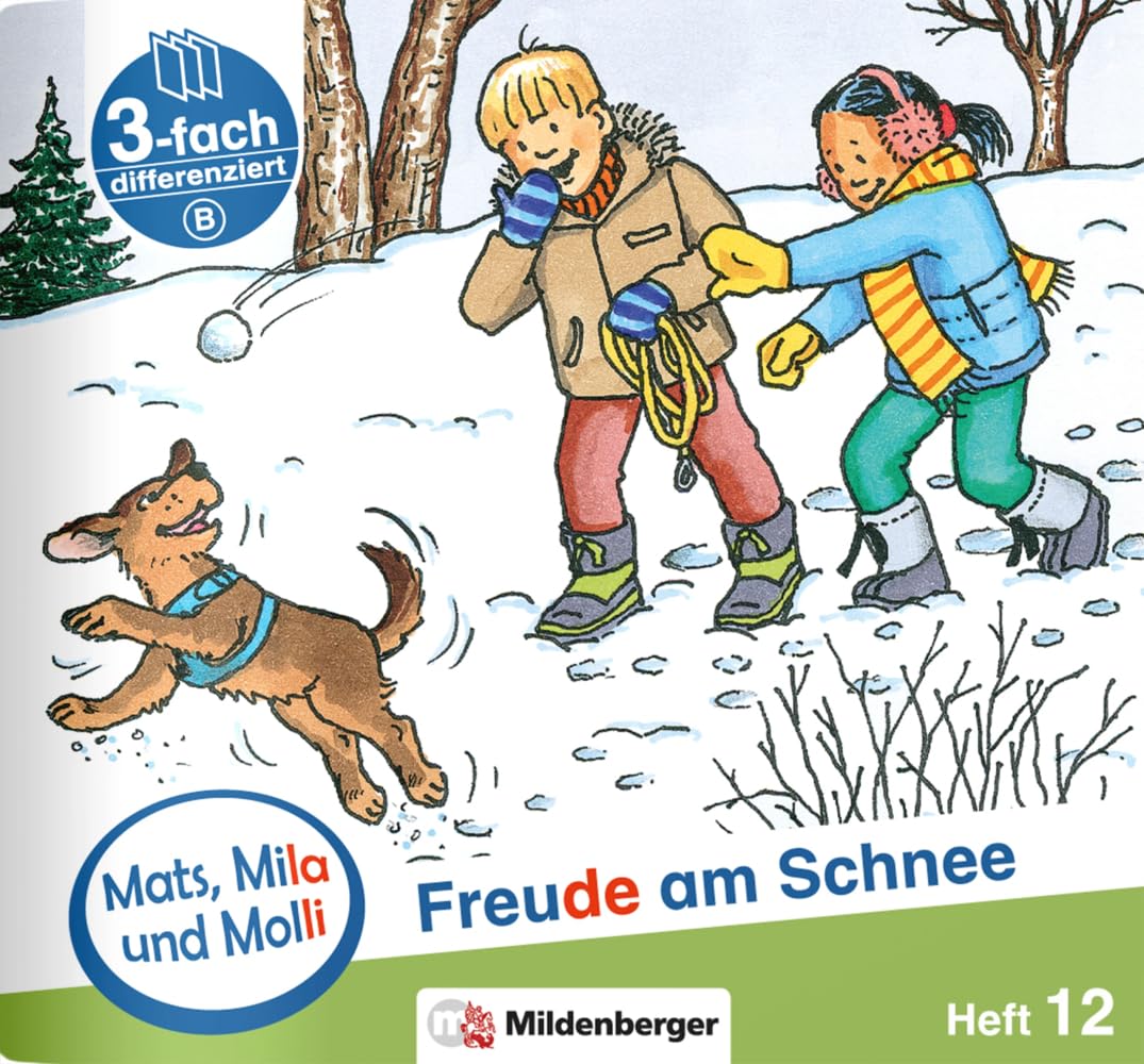 Mats, Mila und Molli – Heft 12: Freude am Schnee - B: Eine Geschichte in drei Schwierigkeitsstufen Study Guides