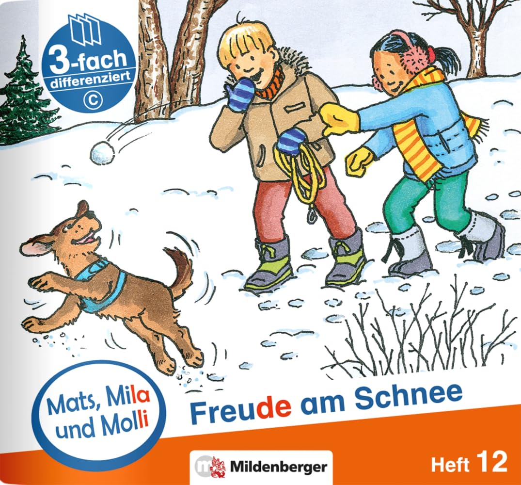 Mats, Mila und Molli – Heft 12: Freude am Schnee - C: Eine Geschichte in drei Schwierigkeitsstufen Study Guides