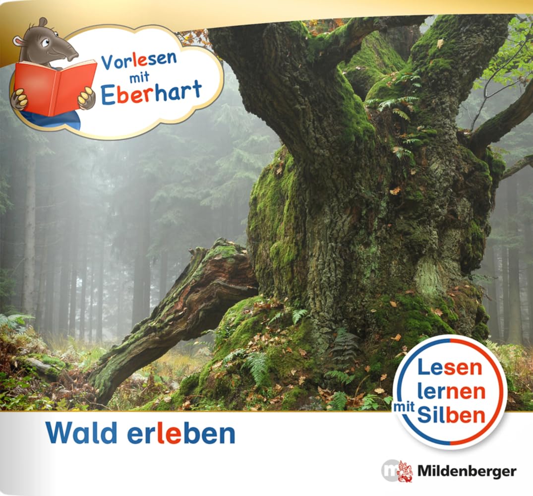 Vorlesen mit Eberhart – Wald erleben – Nachbezug Einzelheft (Kamishibai mit Eberhart) Learning & Reference