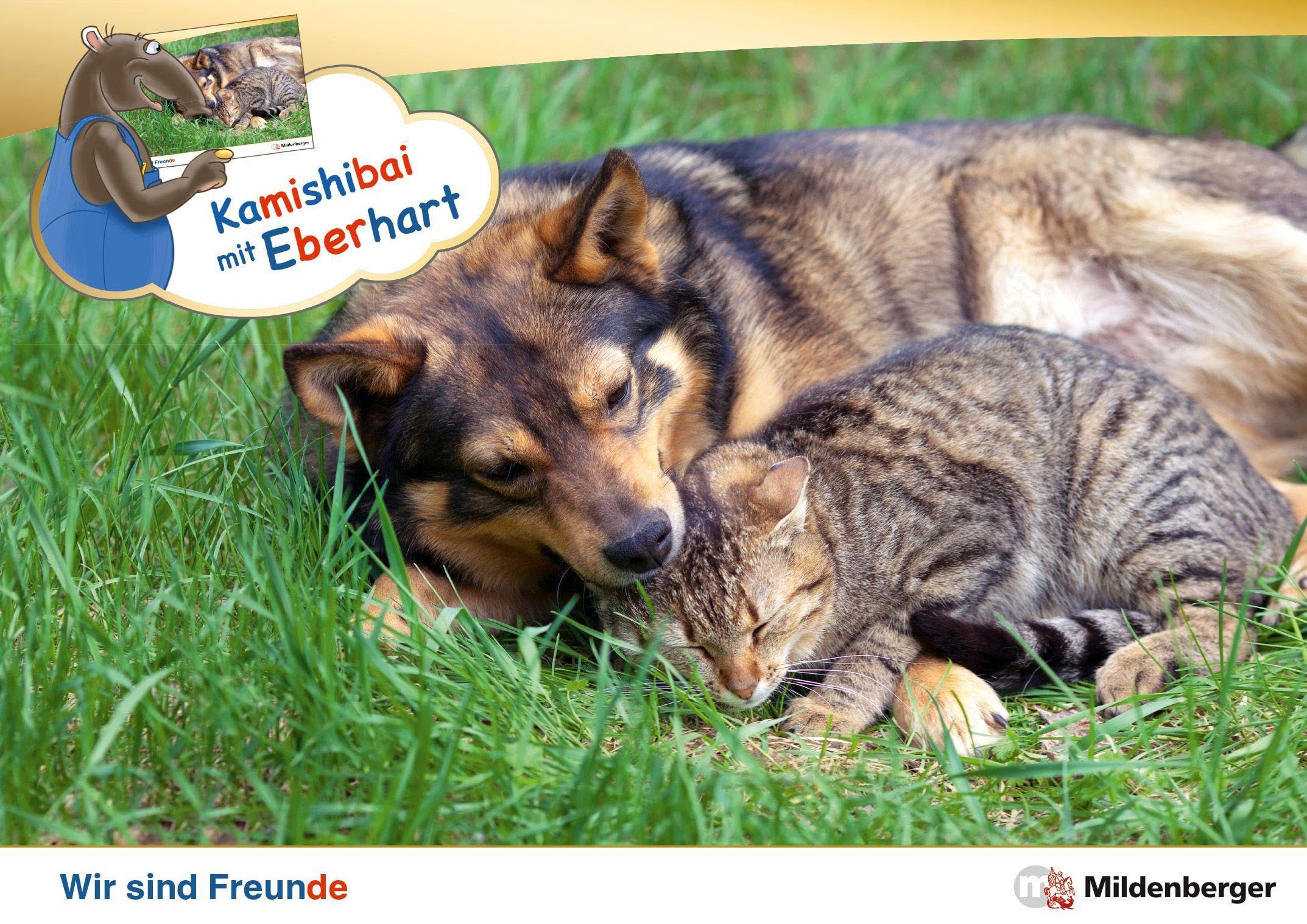 Kamishibai mit Eberhart – Wir sind Freunde – Set: Erzähltheater-Karten mit (Vor-)Leseheft-Paket Learning & Reference