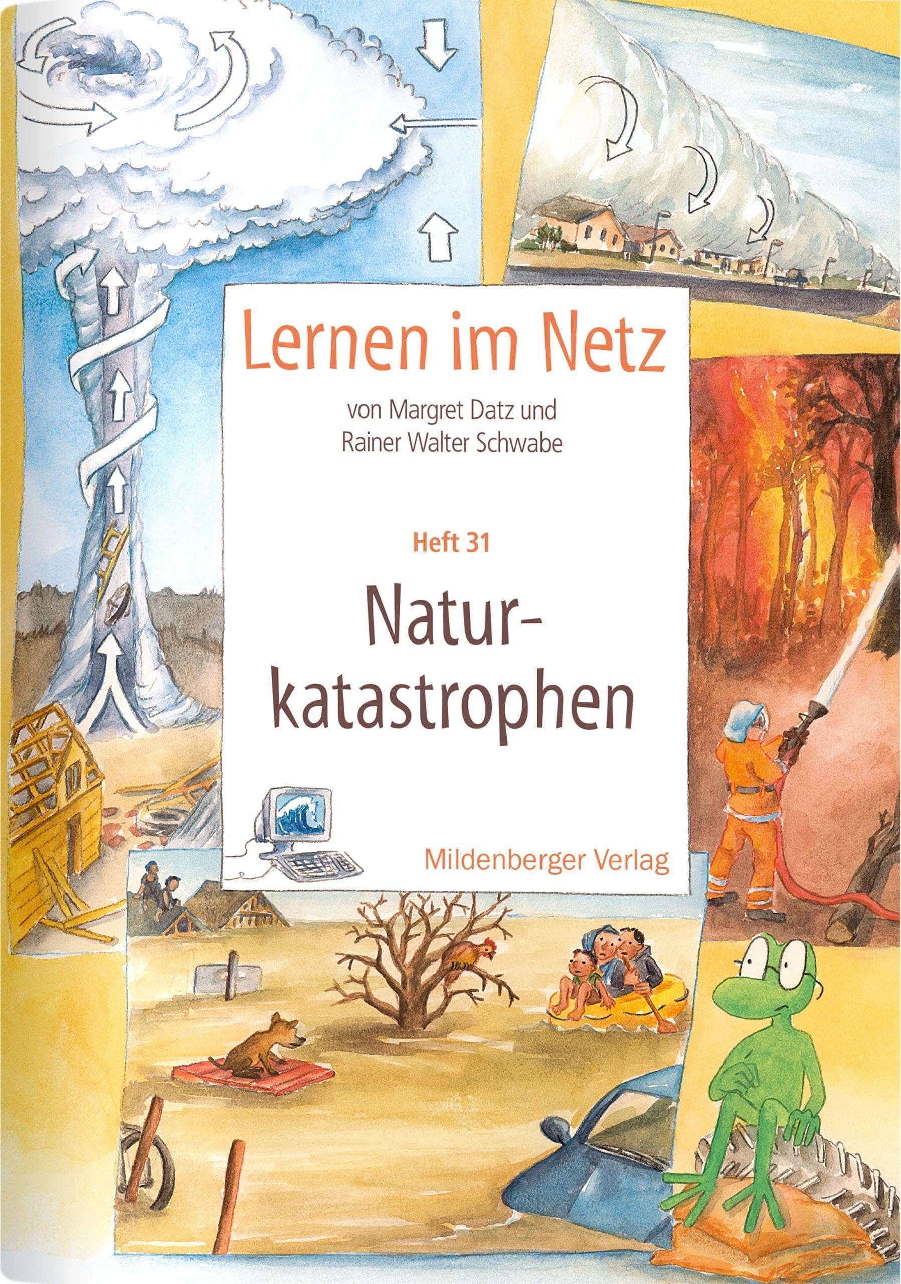 Lernen im Netz 31. Naturkatastrophen book