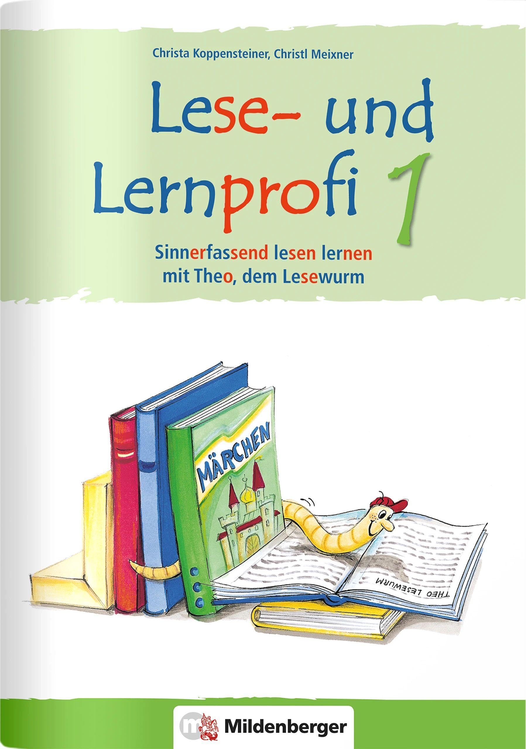 Lese- und Lernprofi 1 - Schülerarbeitsheft - silbierte Ausgabe Study Guides