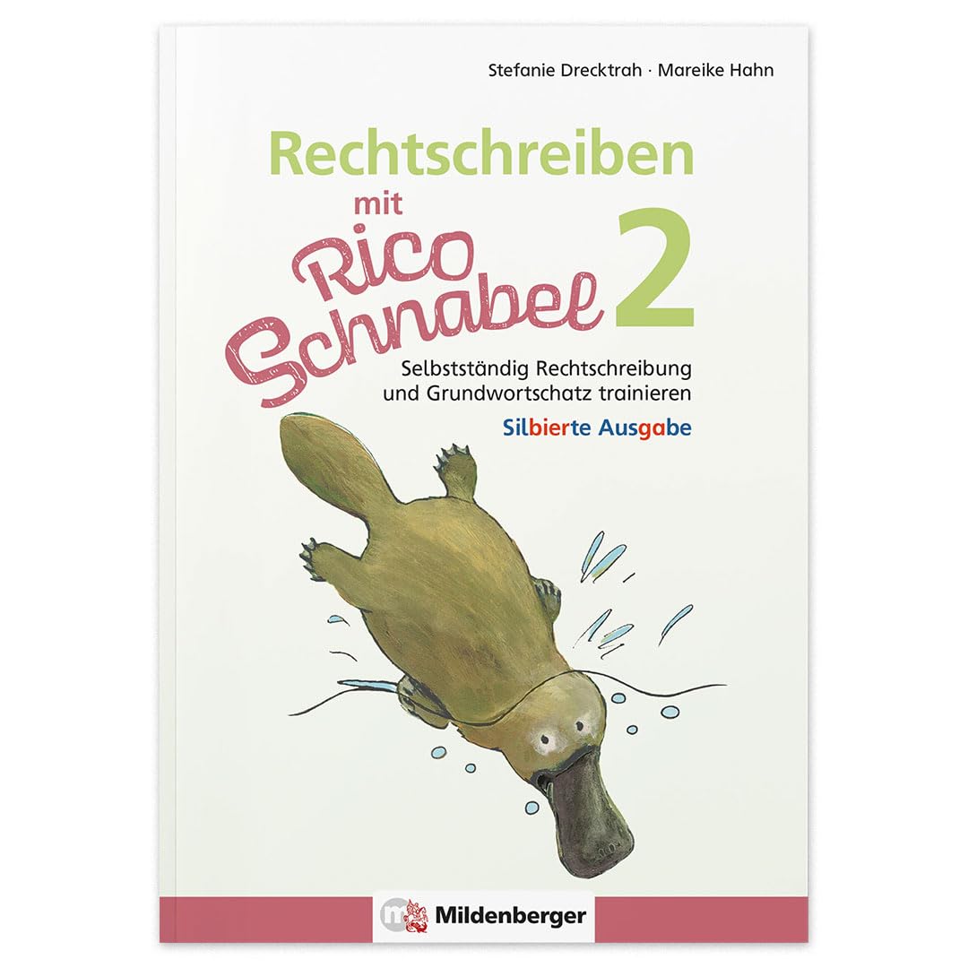Rechtschreiben mit Rico Schnabel, Klasse 2 - silbierte Ausgabe Study Guides