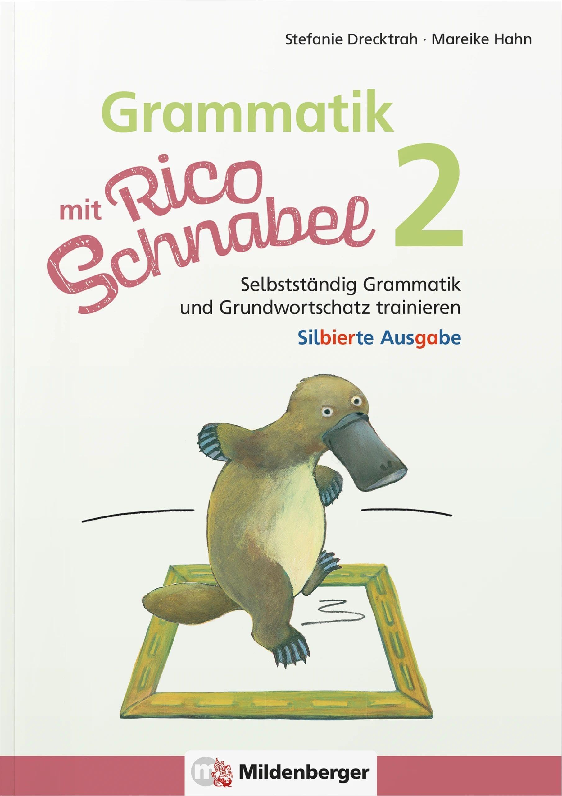 Grammatik mit Rico Schnabel, Klasse 2 - silbierte Ausgabe: Selbstständig Grammatik und Grundwortschatz trainieren (Rico Schnabel Deutsch) Study Guides