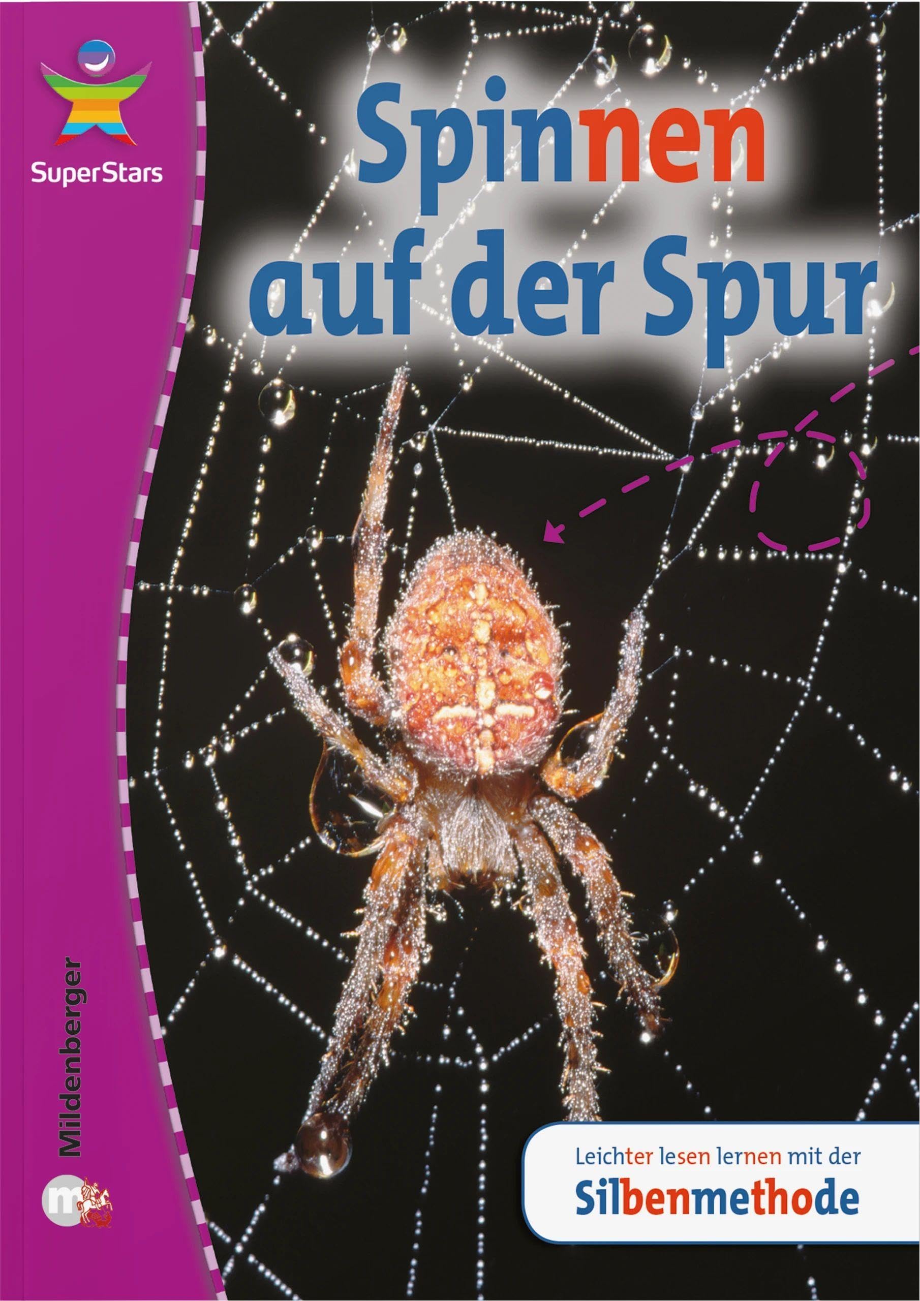 SuperStars: Spinnen auf der Spur Study Guides