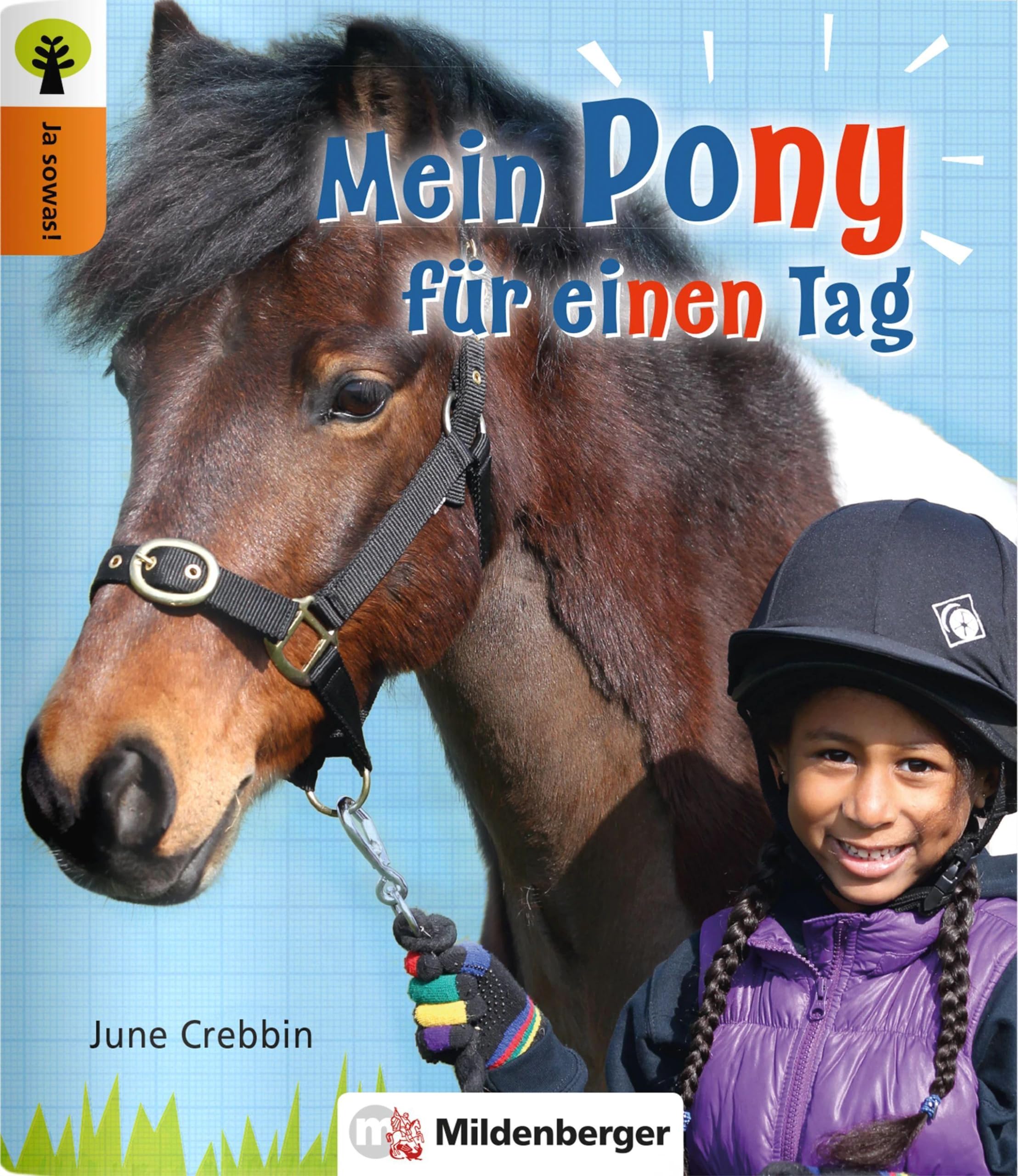 Ja sowas! Mein Pony für einen Tag Study Guides