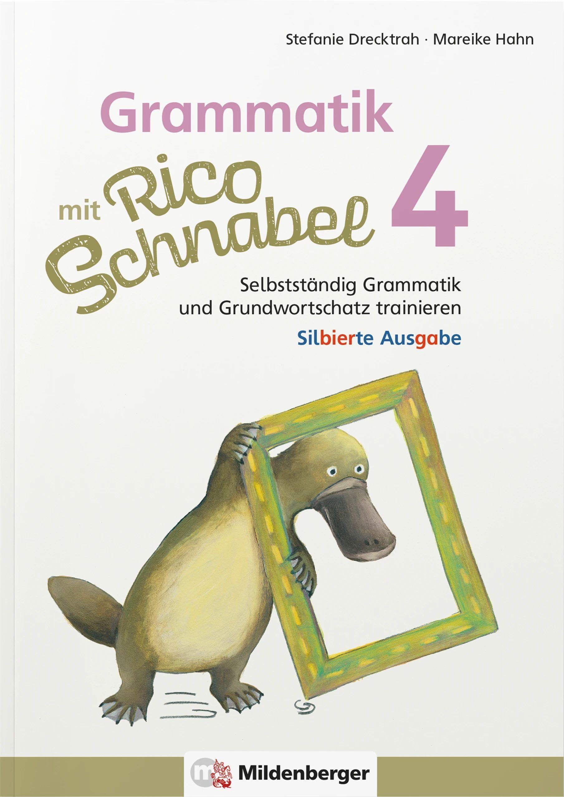 Grammatik mit Rico Schnabel, Klasse 4 - silbierte Ausgabe: Selbstständig Grammatik und Grundwortschatz trainieren (Rico Schnabel Deutsch) Study Guides