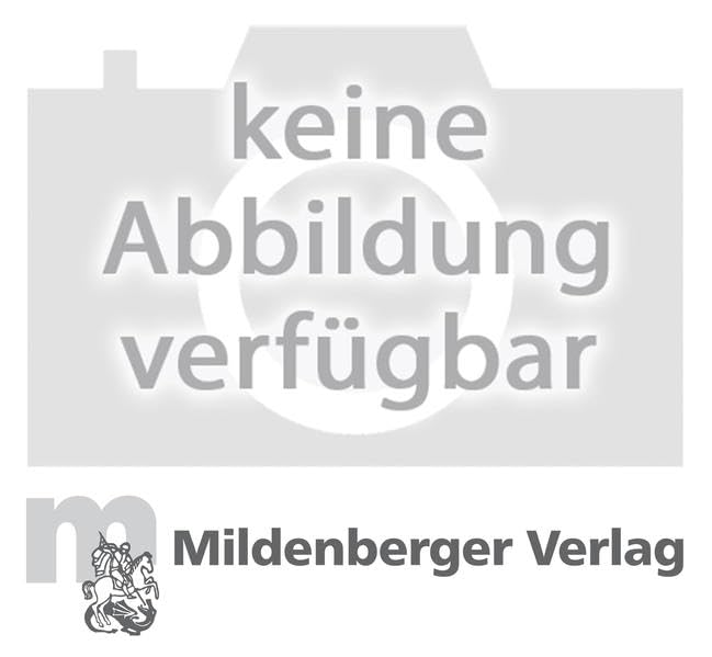 Sprachkiste / Sprachkiste Sprachbuch 4, Schülerbuch: Sprachbuch für die Grundschule Study Guides
