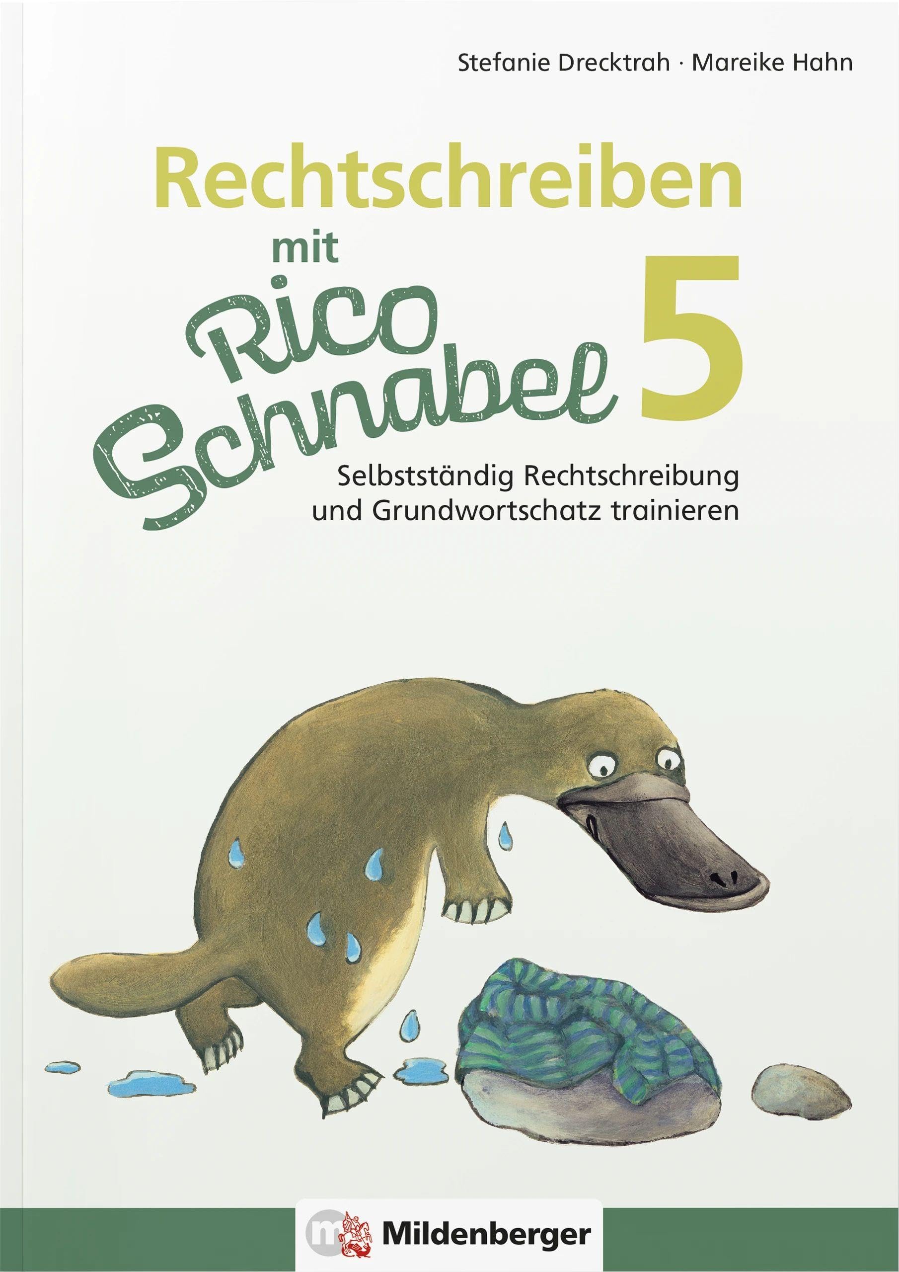 Rechtschreiben mit Rico Schnabel, Klasse 5 book