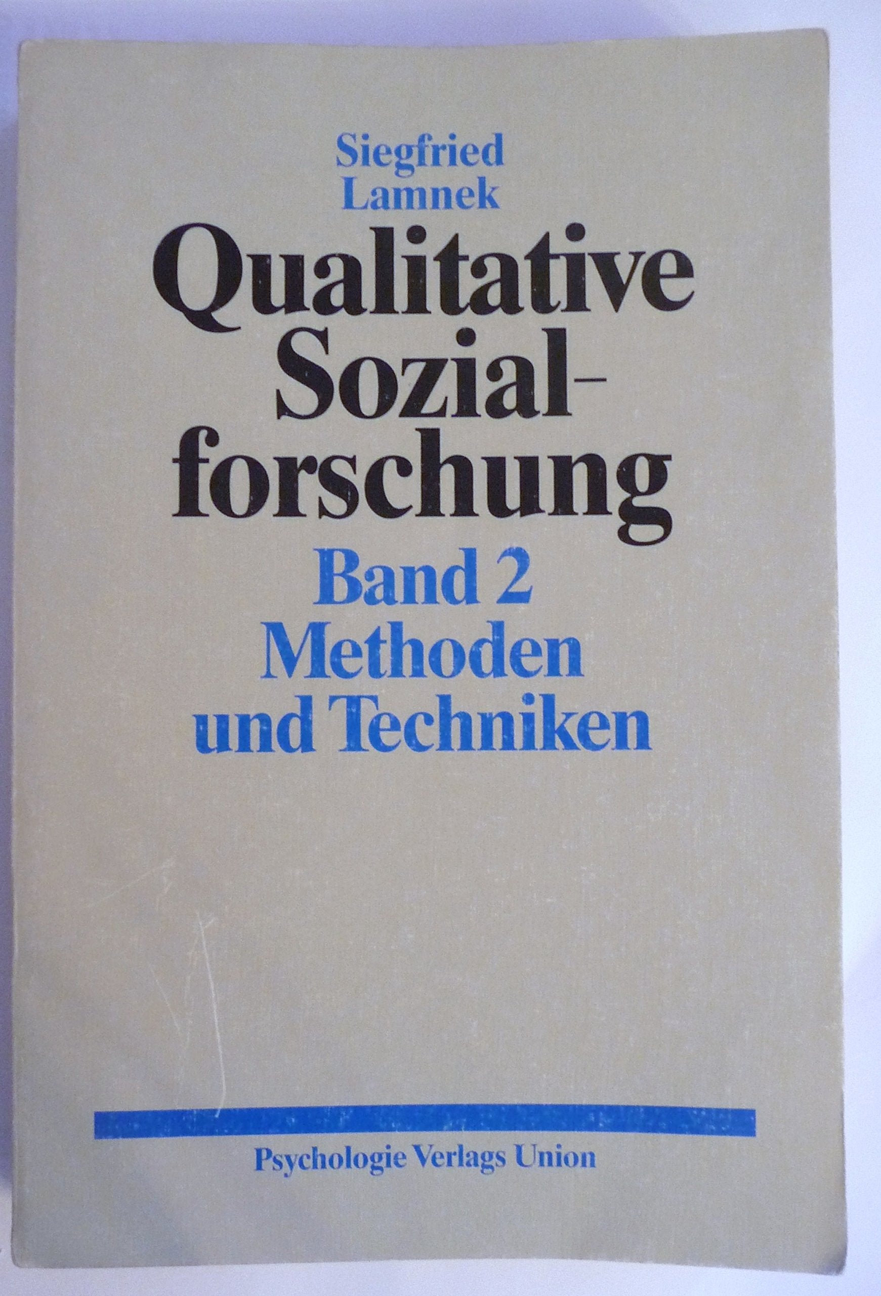 Qualitative Sozialforschung. Band 2: Methoden und Techniken Contemporary literature Books