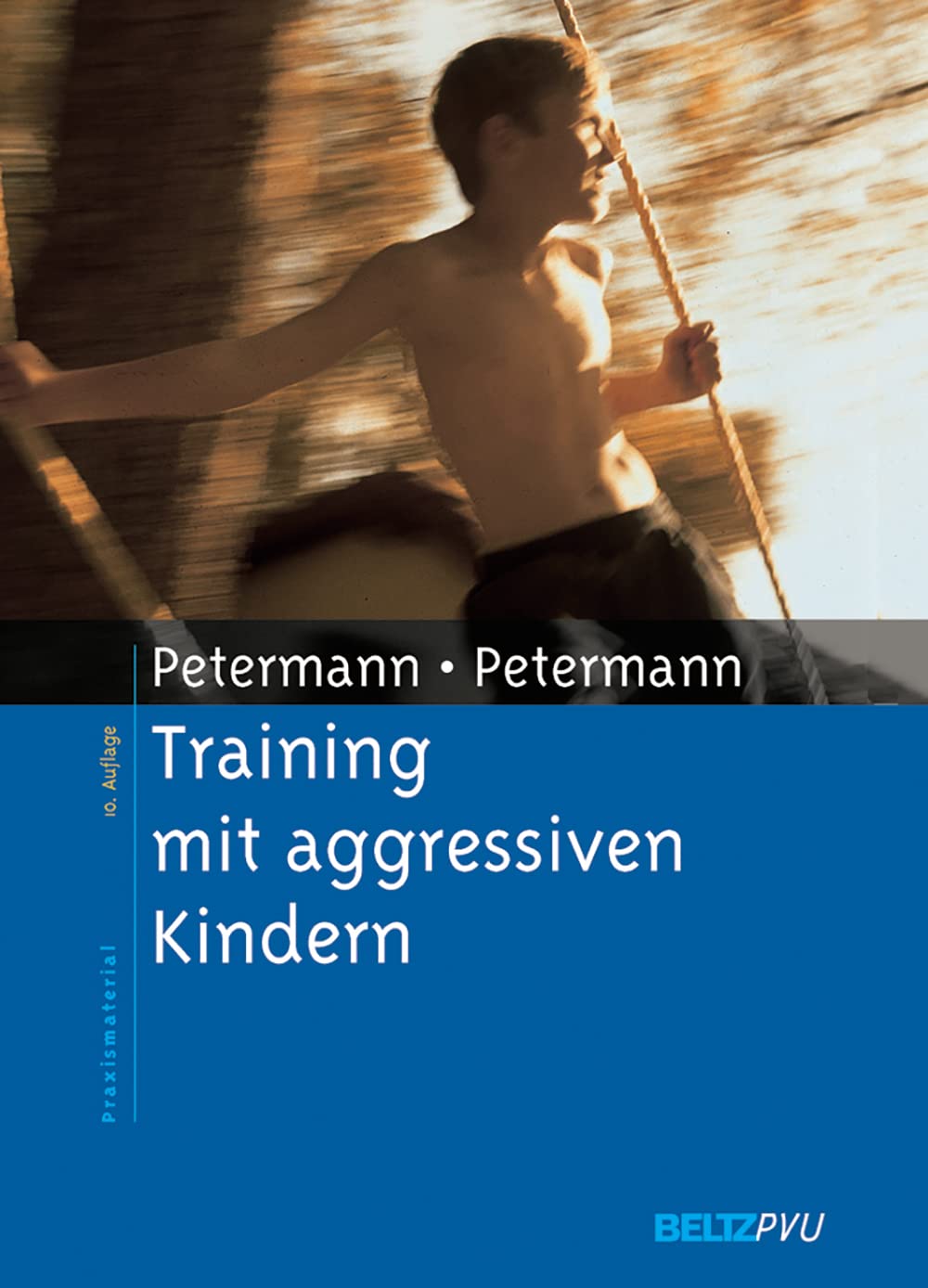 Training mit aggressiven Kindern: Einzeltraining, Kindergruppen, Elternberatung Social Sciences