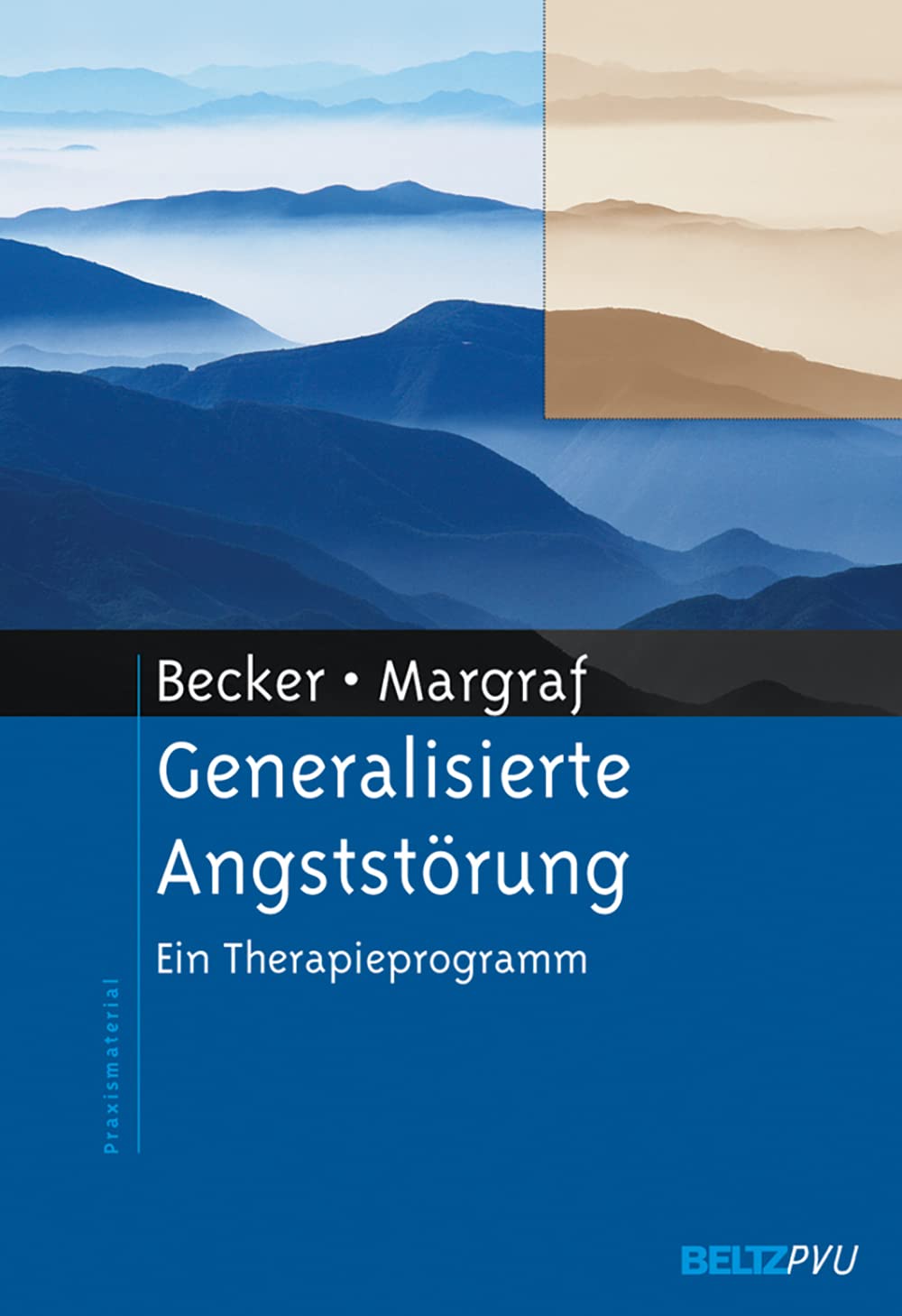 Generalisierte Angststörung: Ein Therapieprogramm (Materialien für die klinische Praxis) Medicine