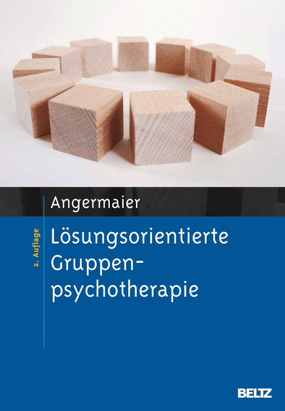 Lösungsorientierte Gruppenpsychotherapie Psychology