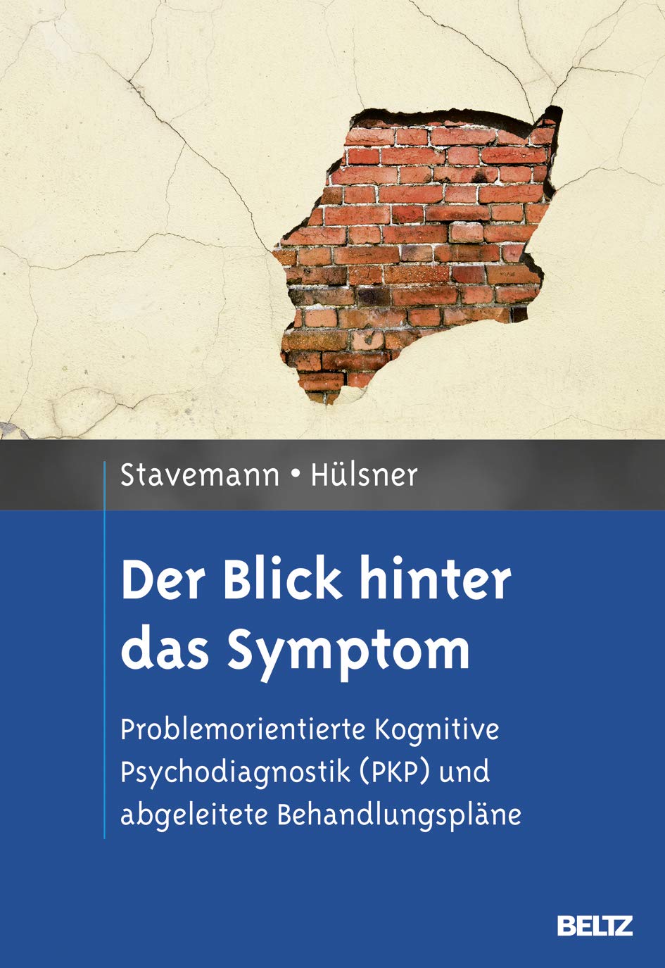 Product Image: Der Blick hinter das Symptom