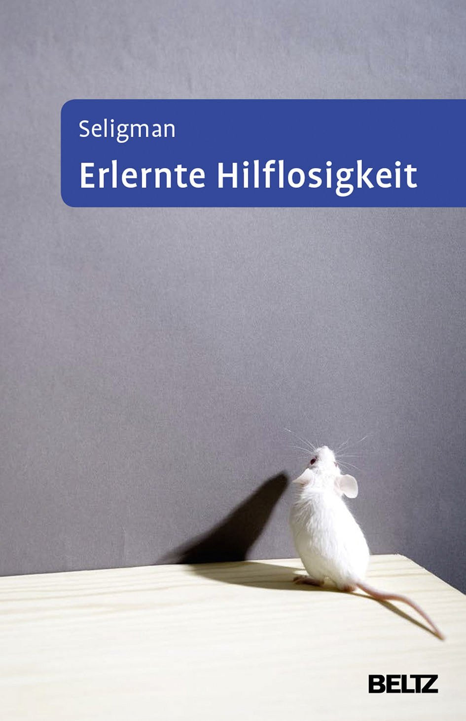 Erlernte Hilflosigkeit: Anhang: »Neue Konzepte und Anwendungen« von Franz Petermann Health, Nutrition & Fitness
