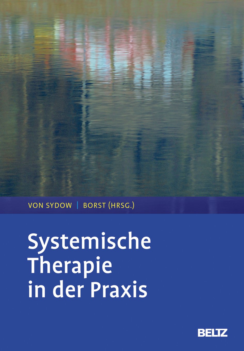 Systemische Therapie in der Praxis Medicine
