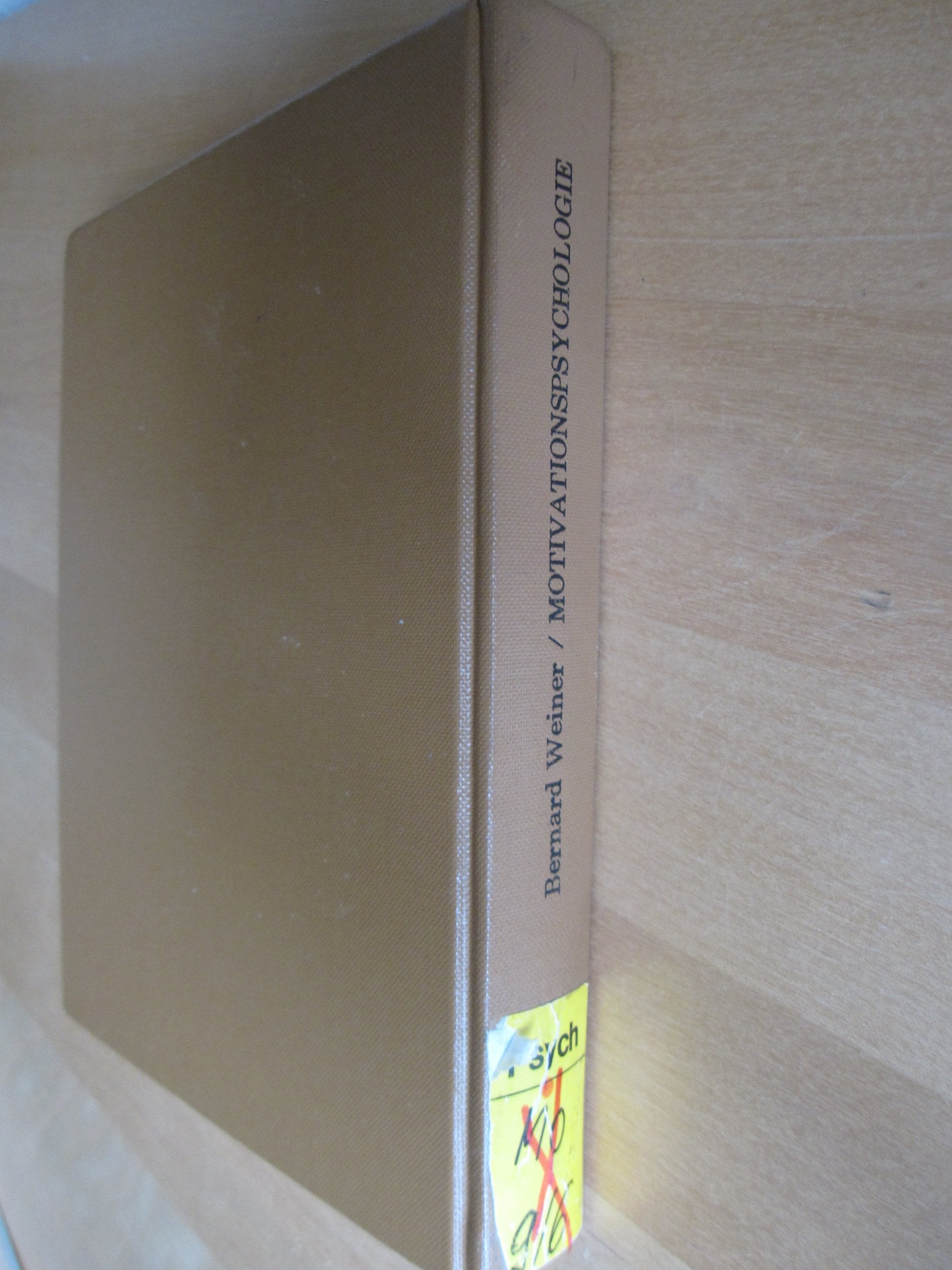 Motivationspsychologie Books