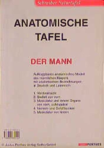 Lerne deinen Körper kennen, Aufklappbares anatomisches Modell des männlichen Körpers book