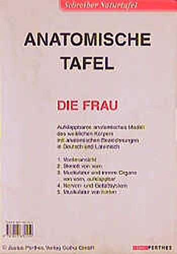 Lerne deinen Körper kennen, Aufklappbares anatomisches Modell des weiblichen Körpers: gefalzt, im Schutzumschlag (Format: 47,5 x 43,5 cm) Klasse 7-13. ... Muskulatur von hinten (Schreiber Naturtafeln) Medicine
