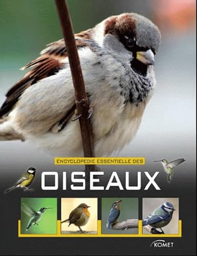 Encyclopédie essentielle des oiseaux Books