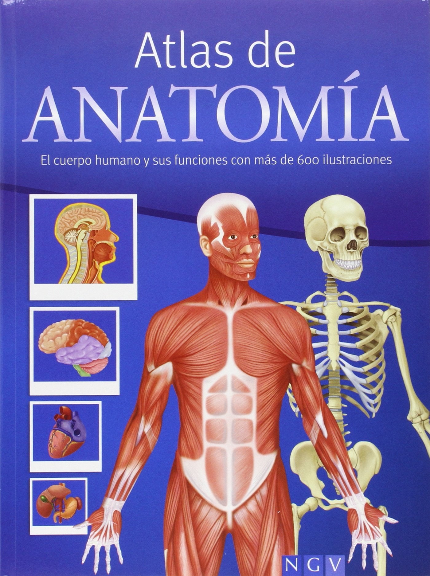 Atlas de anatomía: El cuerpo humano y sus funciones con más de 600 ilustraciones Books