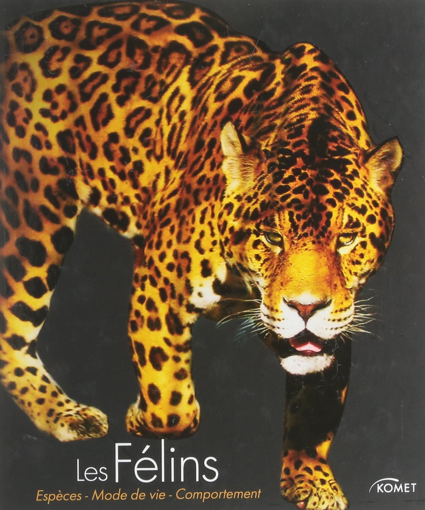 Les félins: Espèces, mode de vie, comportement Books