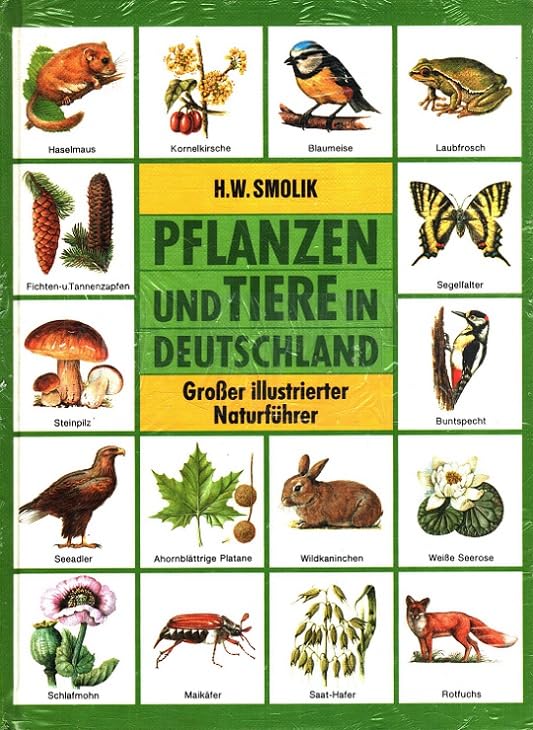Pflanzen und Tiere in Deutschland. (5362 784). Großer illustrierter Naturführer Leisure, Home & Garden