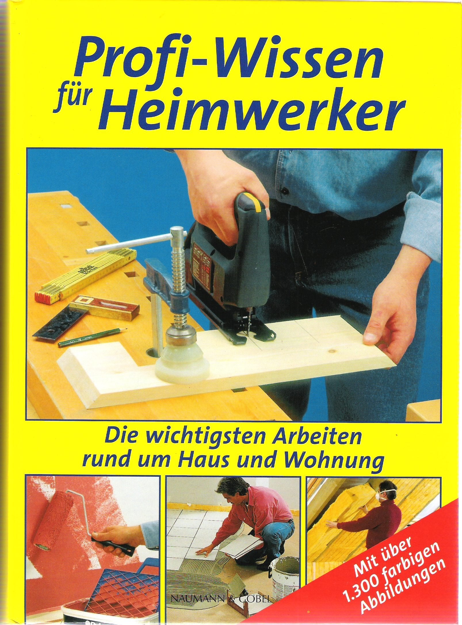 Profi-Wissen für Heimwerker Die wichtigsten Arbeiten rumd um Haus und Wohnung Books
