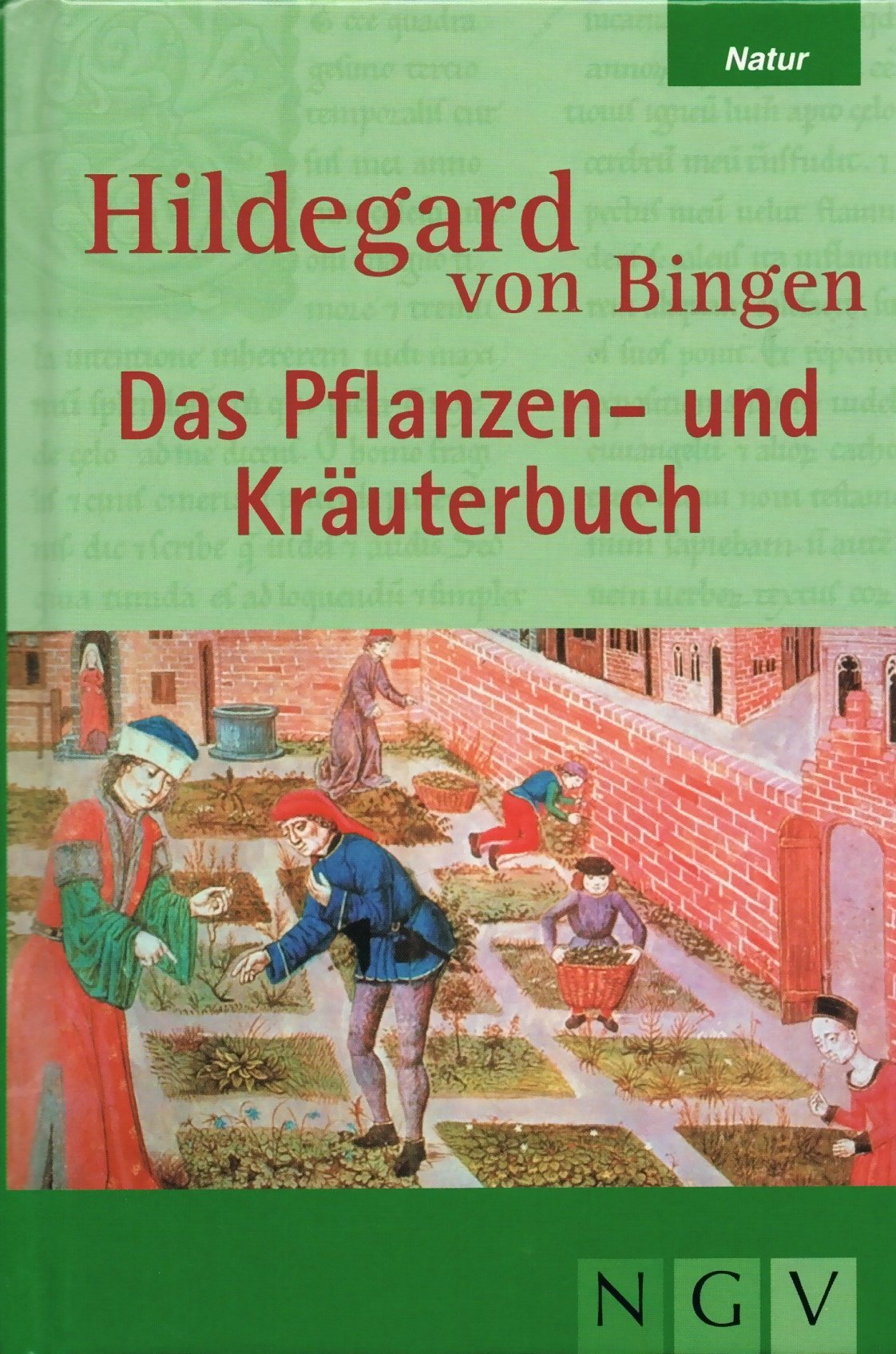 Hildegard von Bingen - Das Pflanzen und Kräuterbuch Medicine
