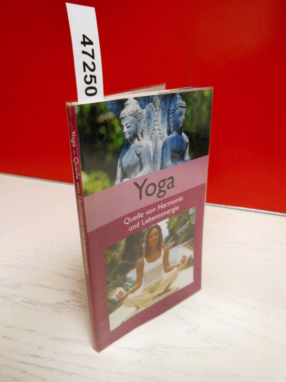 Yoga. Quelle von Harmonie und Lebensenergie. Lifestyle