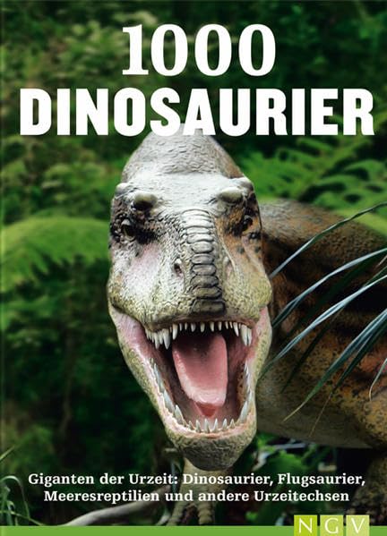 Dinosaurier: 1000 Dinosaurier, Flugsaurier, Meeresreptilien un Urzeitechsen: Giganten der Urzeit: Dinosaurier, Flugsaurier, Meeresreptilien und andere Urzeitechsen Leisure, Home & Garden
