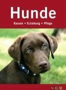 Hunde: Rassen, Erziehung, Pflege Pets