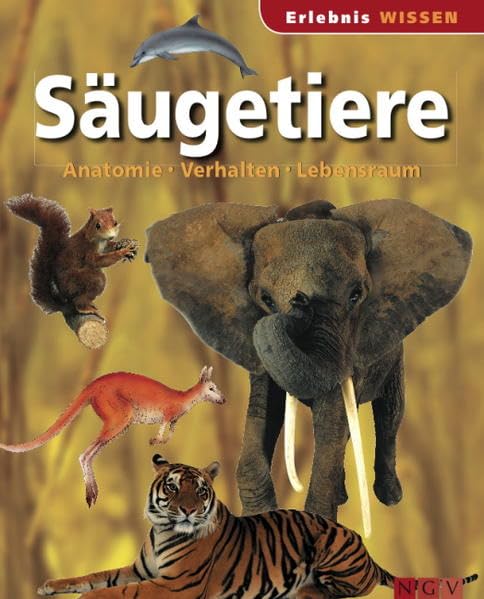 Säugetiere: Anatomie, Verhalten, Lebensraum (Wissen für Kinder) Medicine