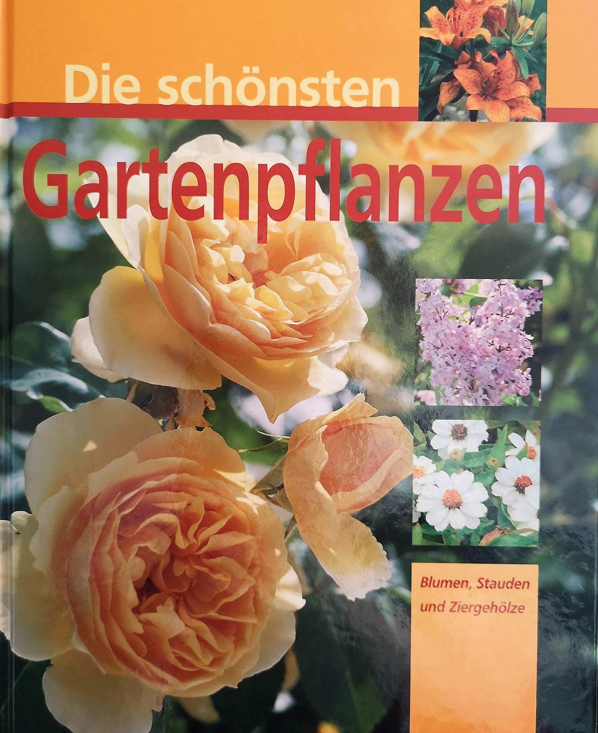 Die schönsten Gartenpflanzen Blumen, Stauden und Ziergehölze Garden & Plants