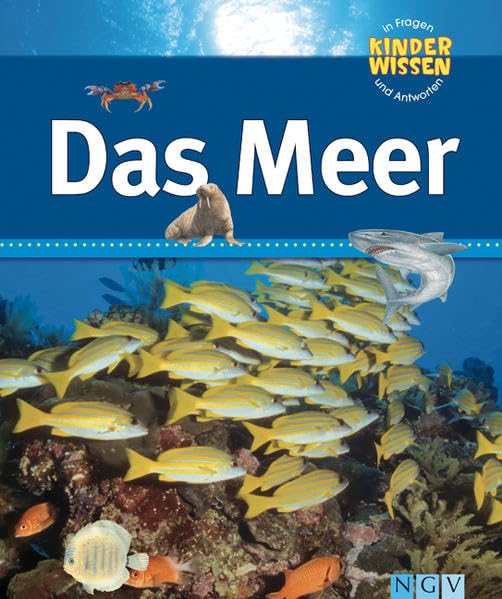 Das Meer (Kinderwissen in Fragen und Antworten) Non-fiction