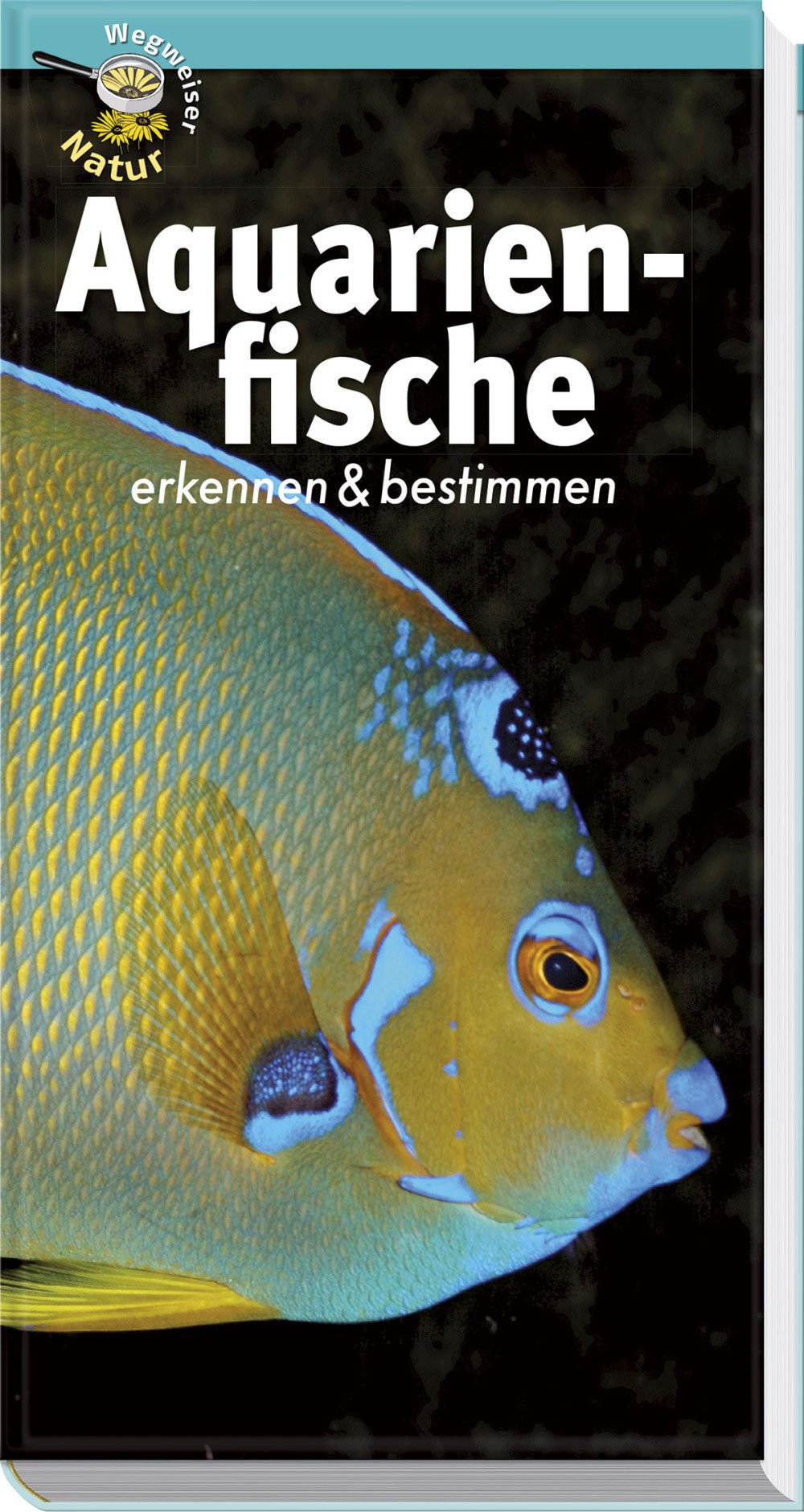 Product Image: Aquarienfische erkennen & bestimmen