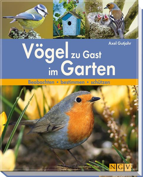 Vögel zu Gast im Garten: Beobachten - bestimmen - schützen Leisure, Home & Garden