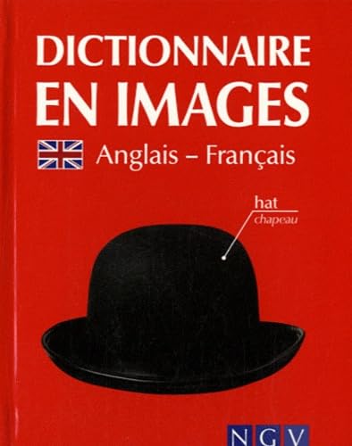 Dictionnaire en images Anglais-Français Books