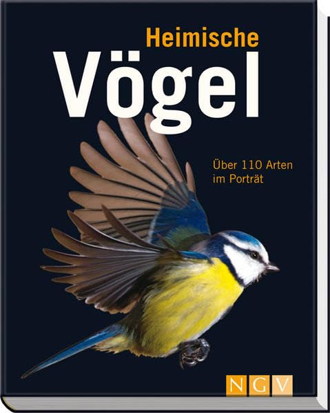 Heimische Vögel: Über 110 Arten im Porträt Leisure, Home & Garden