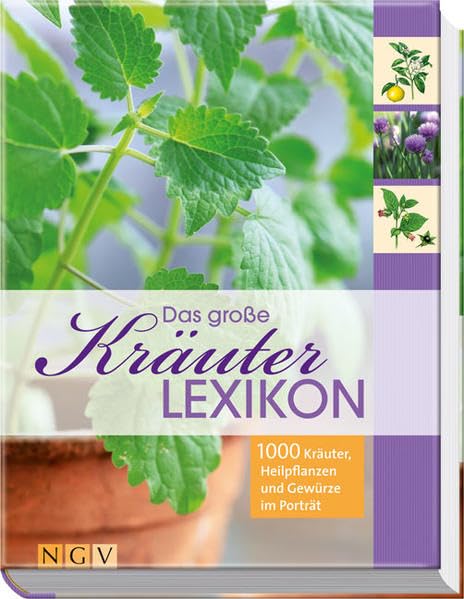 Das große Kräuterlexikon: 1000 Kräuter, Heilpflanzen und Gewürze im Porträt Leisure, Home & Garden