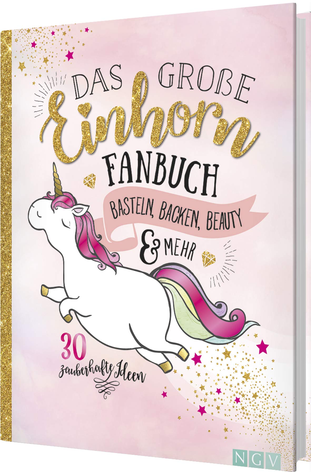 Das große Einhorn-Fanbuch Film, Art & Culture