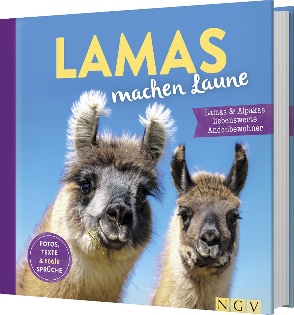 Lamas machen Laune Humour & Satire