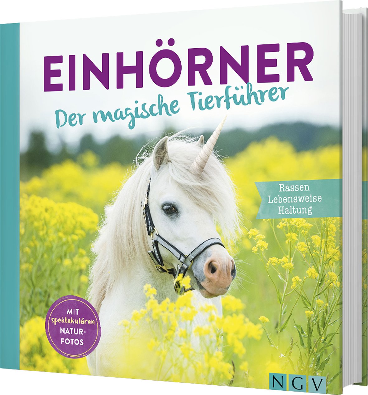 Einhörner Contemporary literature Books